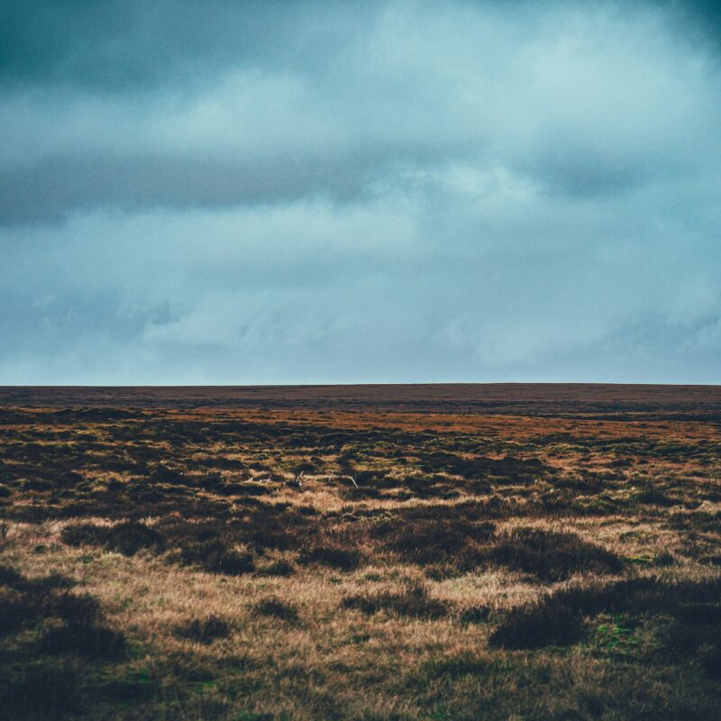 When disappointing some people is the brand strategy